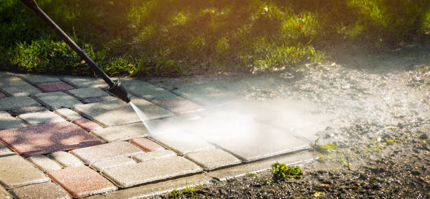 Best Roof Washing  in Byron, MN